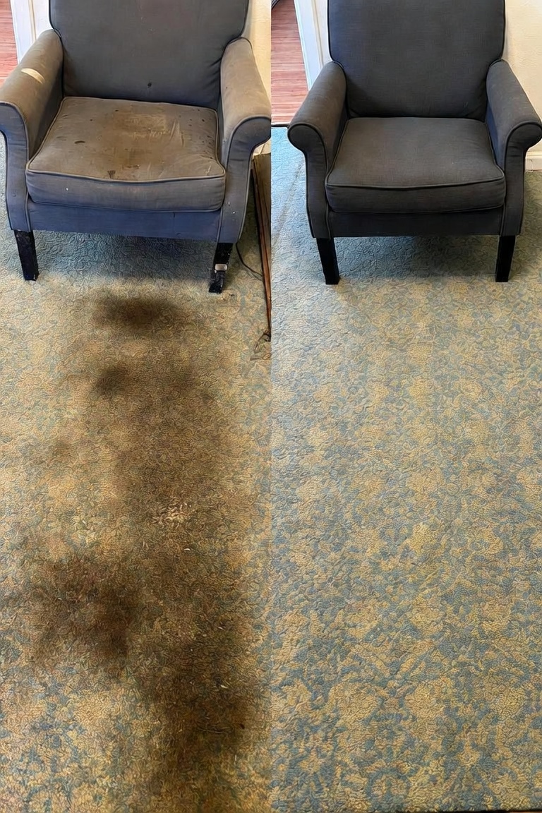 Living room carpet before and after cleaning โ RCA Upholstery and Carpet Cleaning